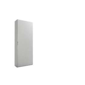 Armoire électrique monobloc - VX SE - 1 Porte - L800 H2000 P300mm - IP55|Rittal-RIT5823.600