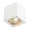 BIG THEO, applique extérieure, blanc, GU10/QPAR111, 75W max, IP44|SLV-DC5229561