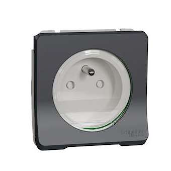 Mureva Styl - Prise de courant 2P+T - composable -IP55-IK08 - connex auto - gris|Schneider Electric-SCHMUR36133