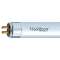 FT5 49W 830 GE SL1 30|GE Lighting - Tungsram Group-GEE93096214