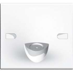 Sortie de câble Living Light 20A 2 modules blanc|Bticino-TICN4955-20