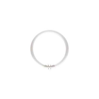 MASTER TL5 Circular 60W/830|Philips Signify-PHI642592