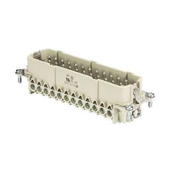 insert male 70.310.2440.0 condtionnement 1pcs|Wieland-WIE99.607.0000.6