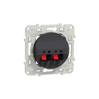 Odace, prise haut-parleurs Anthracite, 2 sorties|Schneider Electric-SCHS540488
