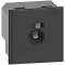 Balisage de plinthe Living Now - 2 modules|Bticino-TICBTK4382