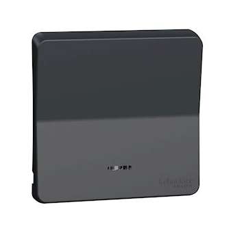 Mureva Styl - Enjoliveur avec lentille - IP55 - IK08 - gris|Schneider Electric-SCHMUR34204