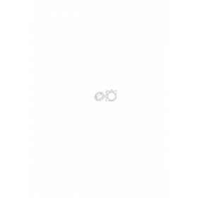 Octogonal 59x0,7mm obturateur|Came france-KAM001YK5104S