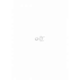 Adaptateur octogonal 40x0,6mm excentrique 0,9mm|Came france-KAM001YK4101