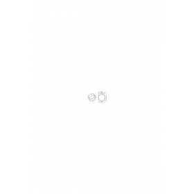Adaptateur octogonal 52x0,7mm excentrique 0,6mm|Came france-KAM001YK5108