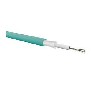 6FO OM3 intex unitube MDV ZH CCA|Gigamedia-GGMFO6B3FRLST