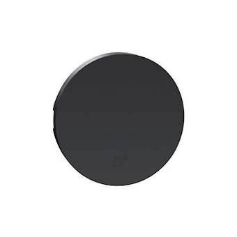 Odace Anthracite, enjoliveur seul va-et-vient et poussoir|Schneider Electric-SCHS540604