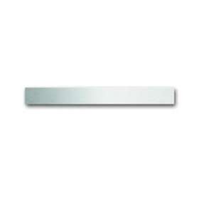 Bandeau Supérieur Standard Busch-Prion Acier Inox|ABB-ABB586762