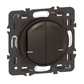 Interrupteur double Neutre connecté Céliane with Netatmo sans plaque graphite|Legrand-LEG064892A