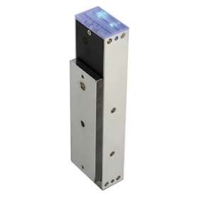Ventouse applique 500kg 12/24VDC + relais/signal + buzzer - NFS 61-937|CDVI-CDAV5SRB