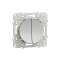 Odace - va-et-vient + poussoir - Alu - 10 A - poussoir NO/NF|Schneider Electric-SCHS530285