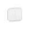 Commande double interrupteur ou poussoir Plexo composable blanc|Legrand-LEG069625L