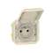 Prise de courant 2P+T Plexo composable sable|Legrand-LEG069828L