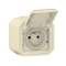 Prise de courant 2P+T Plexo complet saillie sable|Legrand-LEG069776L