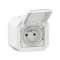Prise de courant 2P+T Plexo complet saillie blanc|Legrand-LEG069781L