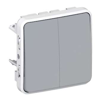 Double interrupteur ou va-et-vient Plexo - Gris|Legrand-LEG069925