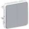 Double interrupteur ou va-et-vient Plexo - Gris|Legrand-LEG069925
