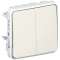 Double interrupteur ou va-et-vient Plexo - Blanc|Legrand-LEG069943