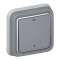 Interrupteur bipolaire Plexo - Gris|Legrand-LEG069926