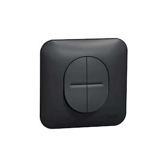 Ovalis - Double va-et-vient - 10AX - fixation par vis Avec plaque -Anthracite|Schneider Electric-SCHS460214