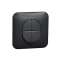 Ovalis - Double va-et-vient - 10AX - fixation par vis Avec plaque -Anthracite