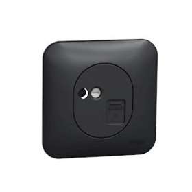 Ovalis - Prise RJ45 - cat.6UTP - grade 1 - tél/informat Avec plaque -Anthracite|Schneider Electric-SCHS460475
