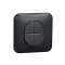 Ovalis - Va-et-vient + poussoir NO/NF- connexion auto Avec plaque -Anthracite
