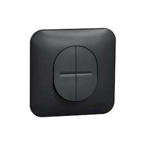 Ovalis - Va-et-vient + poussoir NO/NF- connexion auto Avec plaque -Anthracite|Schneider Electric-SCHS460285