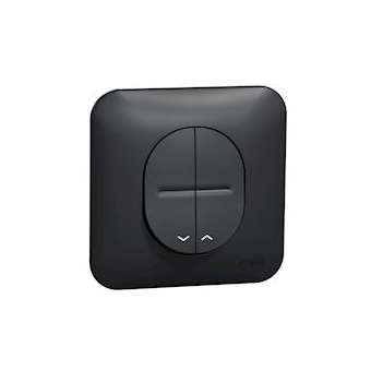 Ovalis - Bouton poussoir pour volet roulant Avec plaque de finition -Anthracite|Schneider Electric-SCHS460207