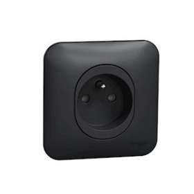 Ovalis - prise de courant - 2P+T -16A - avec griffes Avec plaque -Anthracite|Schneider Electric-SCHS465059