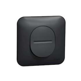 Ovalis - Interrupteur simple allumage -10 AX Avec plaque de finition -Anthracite|Schneider Electric-SCHS460202