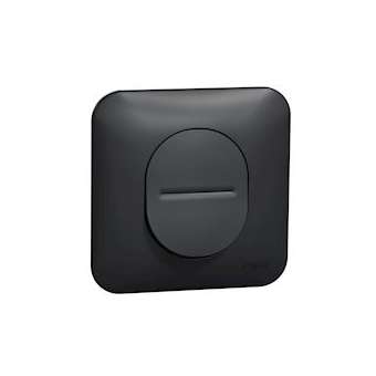 Ovalis - Interrupteur va et vient - 10 AX Avec plaque de finition -Anthracite|Schneider Electric-SCHS460204