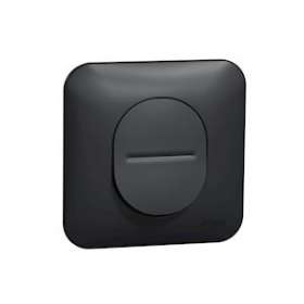 Ovalis - Interrupteur va et vient - 10 AX Avec plaque de finition -Anthracite|Schneider Electric-SCHS460204