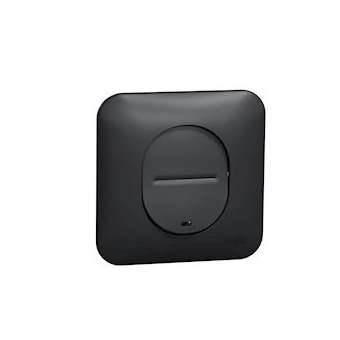 Ovalis - Interrupteur - lumineux temoin / localisation Avec plaque -Anthracite|Schneider Electric-SCHS460263