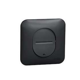 Ovalis - Interrupteur - lumineux temoin / localisation Avec plaque -Anthracite|Schneider Electric-SCHS460263