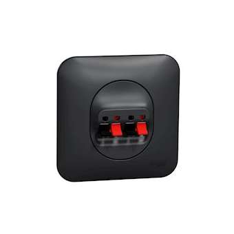 Ovalis - Prise haut-parleur 2 sorties- 4 bornes à vis Avec plaque -Anthracite|Schneider Electric-SCHS460488