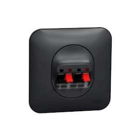 Ovalis - Prise haut-parleur 2 sorties- 4 bornes à vis Avec plaque -Anthracite|Schneider Electric-SCHS460488