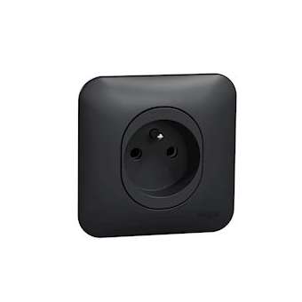 Ovalis - prise de courant - 2P+T - à vis - avec griffes Avec plaque -Anthracite|Schneider Electric-SCHS465039