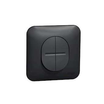 Ovalis - double va et vient - 10AX - avec griffes Avec plaque -Anthracite|Schneider Electric-SCHS465214