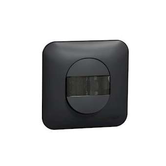 Ovalis - poussoir - porte-étiquette - 10A - à griffes Avec plaque -Anthracite|Schneider Electric-SCHS465266