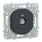 Ovalis - prise TV simple - Anthracite|Schneider Electric-SCHS340405