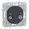 Ovalis - prise TV-R - Anthracite|Schneider Electric-SCHS340451