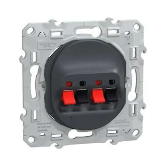 Ovalis C Series - loudspeaker socket - 2 sockets - anthracite|Schneider Electric-SCHS340488