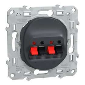 Ovalis C Series - loudspeaker socket - 2 sockets - anthracite|Schneider Electric-SCHS340488