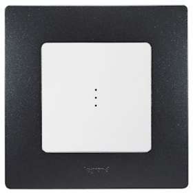 Plaque Niloé 1 poste - Fonte|Legrand-LEG096706