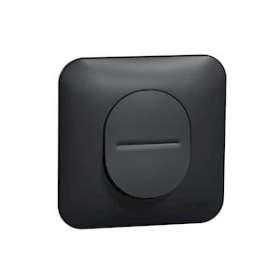 Ovalis - Bouton poussoir à fermeture - 10A Avec plaque de finition -Anthracite|Schneider Electric-SCHS460206